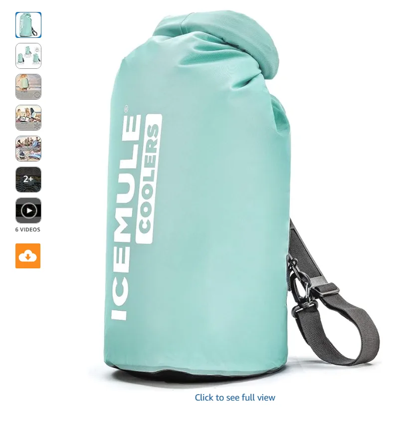 Las 10 mejores neveras portátiles de 2026 (Reseñas, precios y guía de compra) 8 ICEMULE Clásico 15L