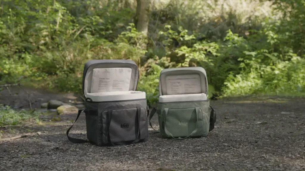 Las 10 mejores neveras portátiles de 2026 (Reseñas, precios y guía de compra) 12 REI Trailgate 20L