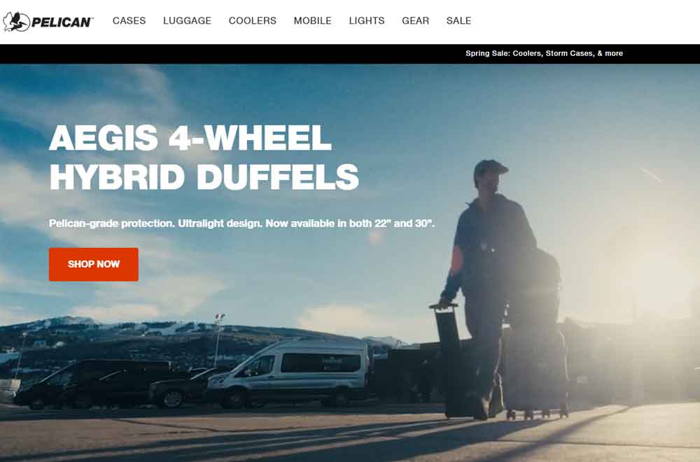 Pelican Best Gun Cases