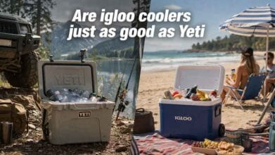 Are igloo coolers just as good as Yeti 2 Are igloo coolers just as good as Yeti