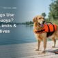 Can Dogs Use Swim Buoys Safety Limits Alternatives 85x85